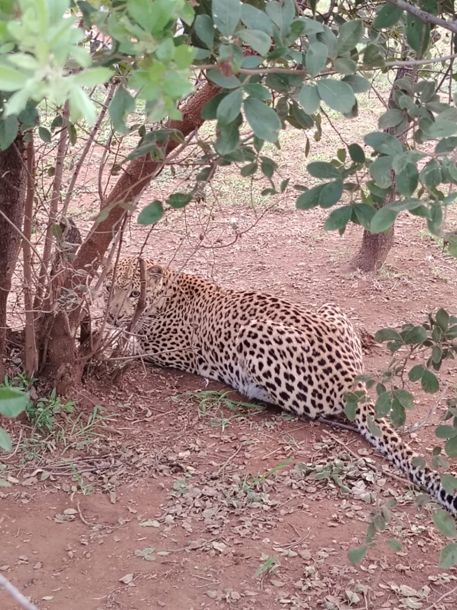 6 Bedroom Property for Sale in Zeerust North West